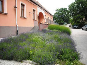 Betreutes Wohnen in Ungarn