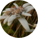 Siegbert Kötzle Siegbert Kötzle